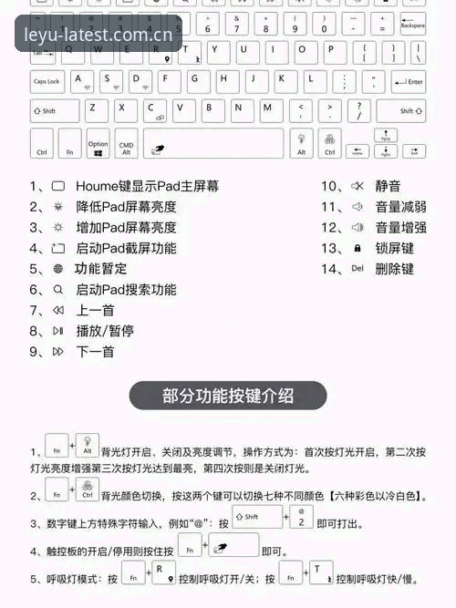 乐鱼安卓版安装推荐：突破传统体验的创新方案详解